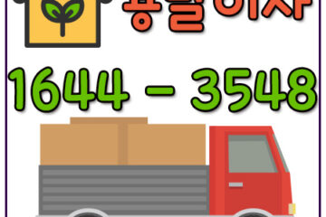 옥정동원룸포장이사